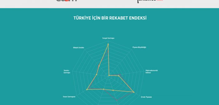 Türkiye İçin Bir Rekabet Endeksi